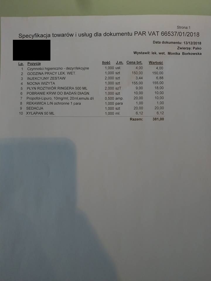 48380860_224379261791774_2926577203527286784_n.jpg